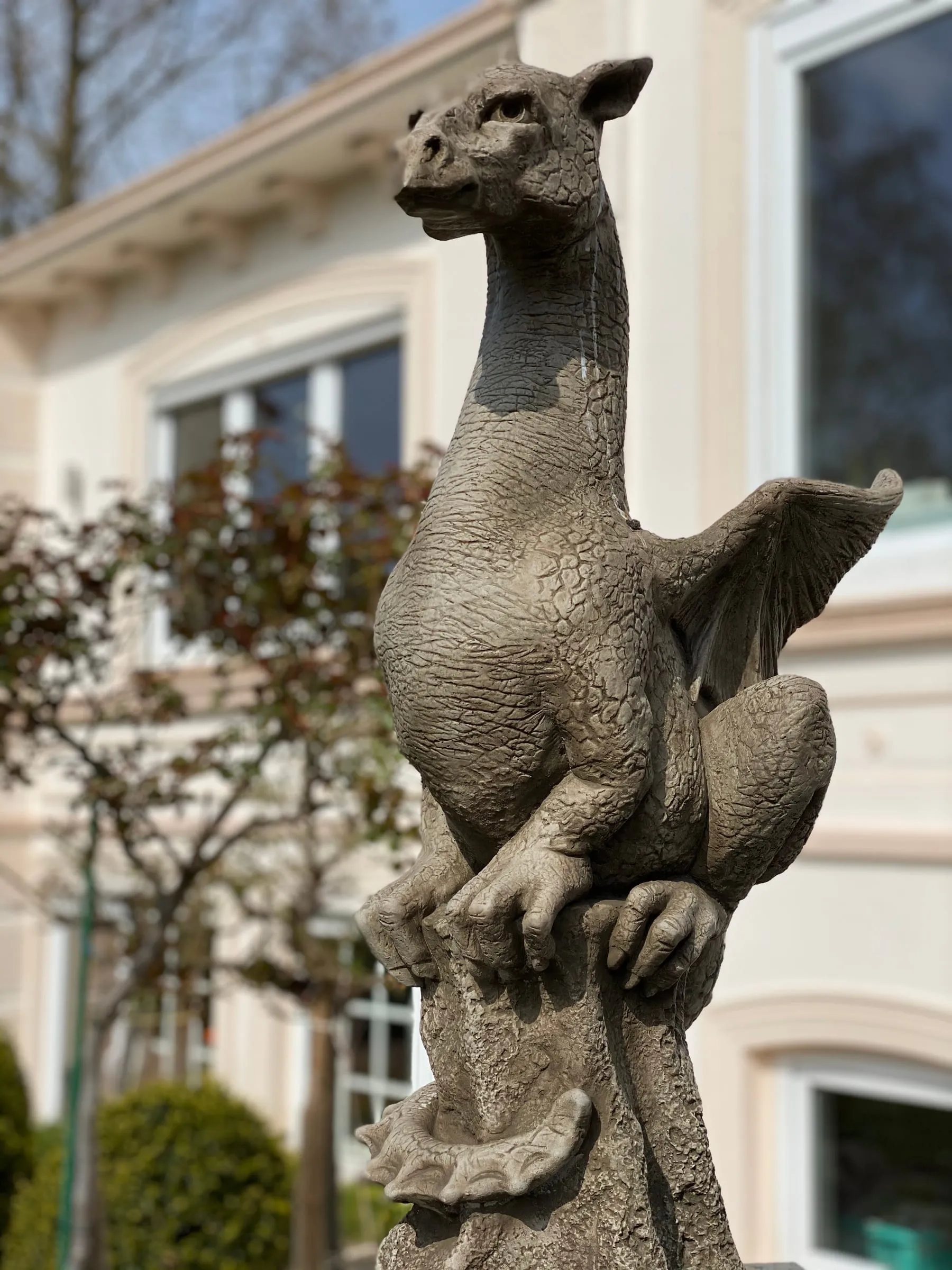 Villa Rosengarten & Fehmarn – Foto 7