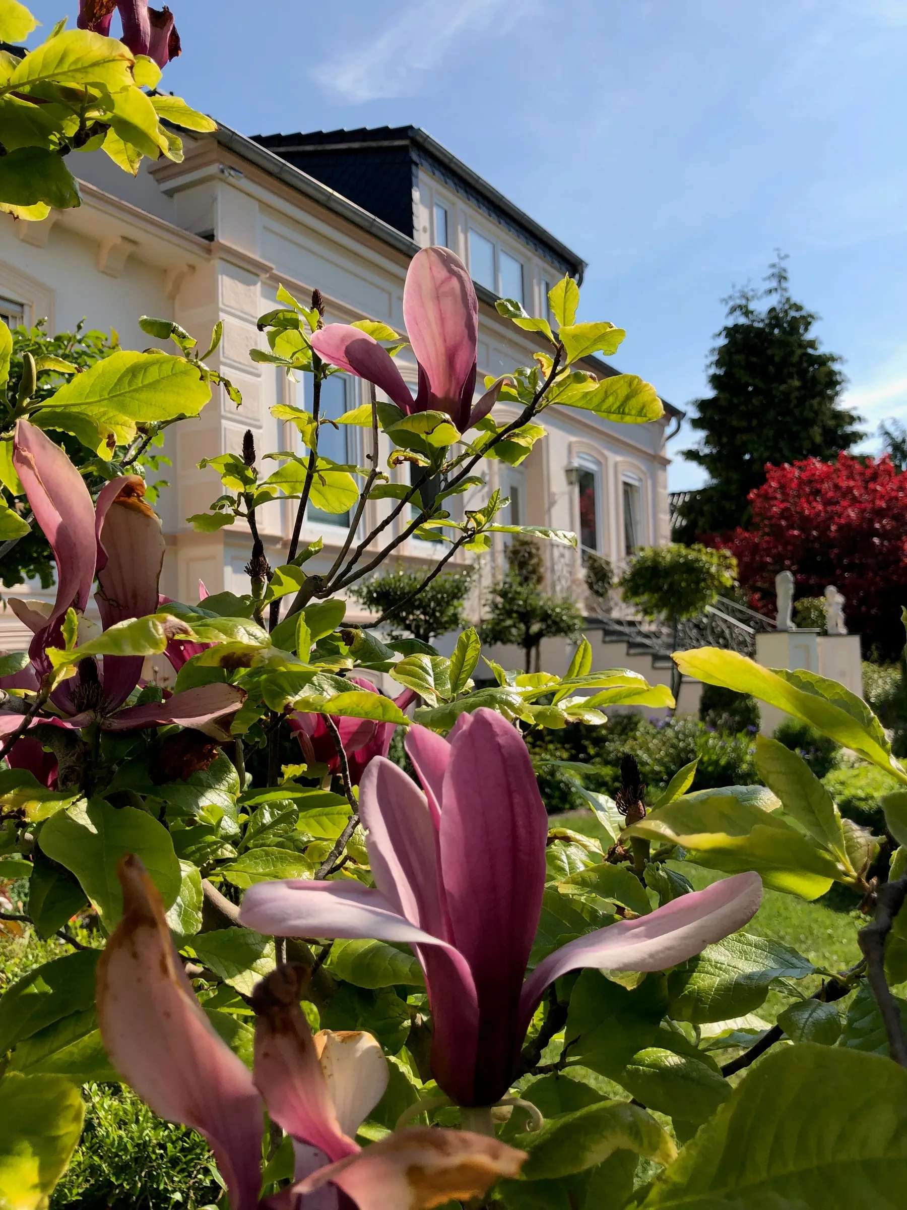 Villa Rosengarten – Foto 12