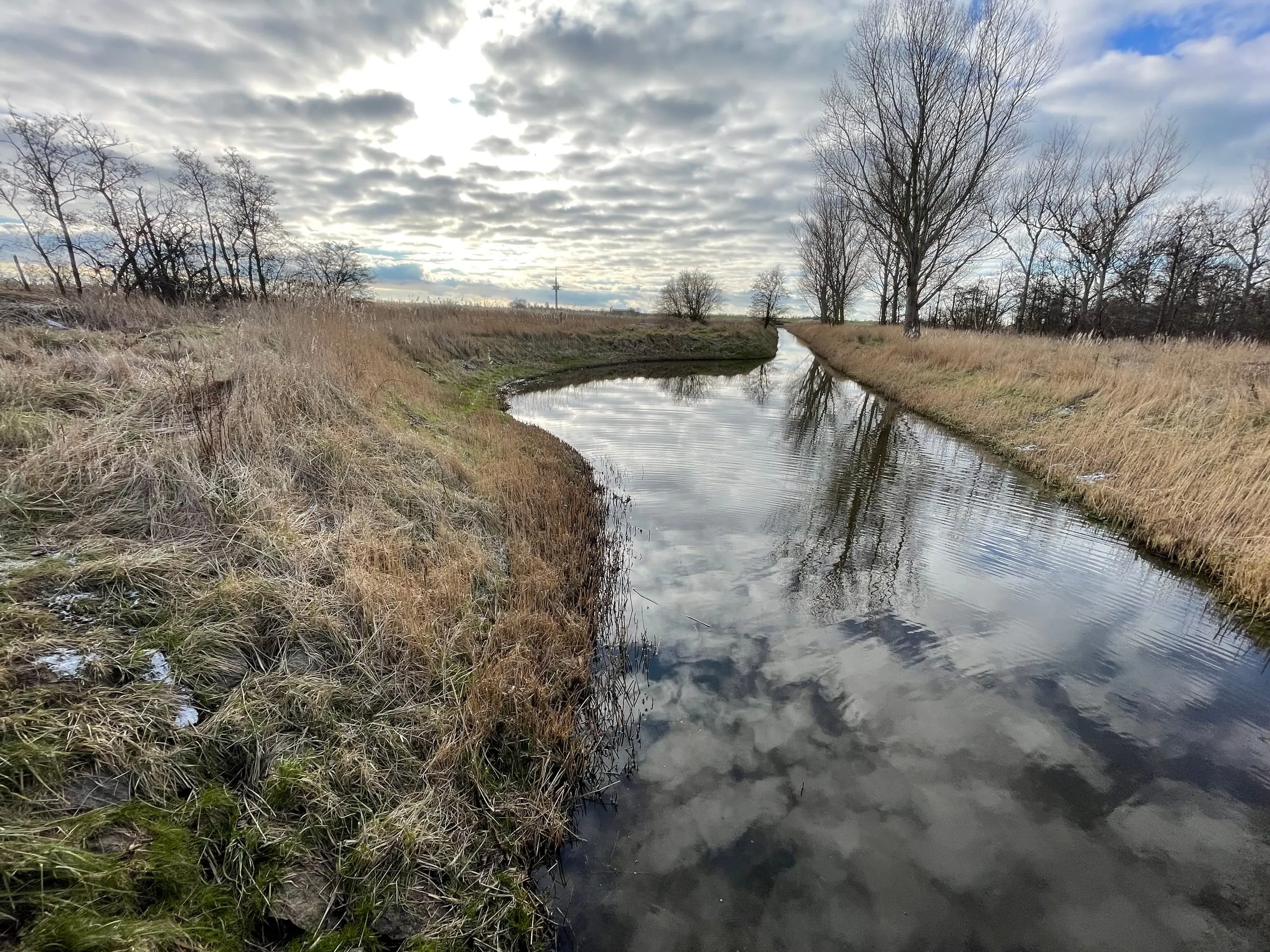 Villa Rosengarten & Fehmarn – Foto 10