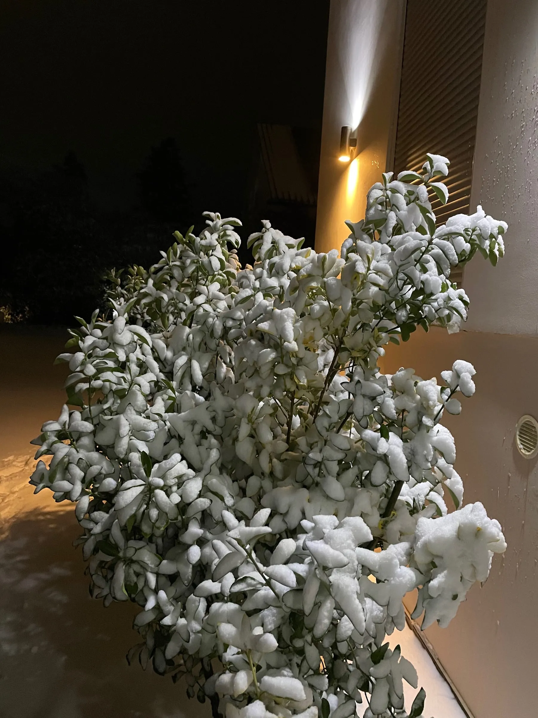Wintervilla – Foto 11