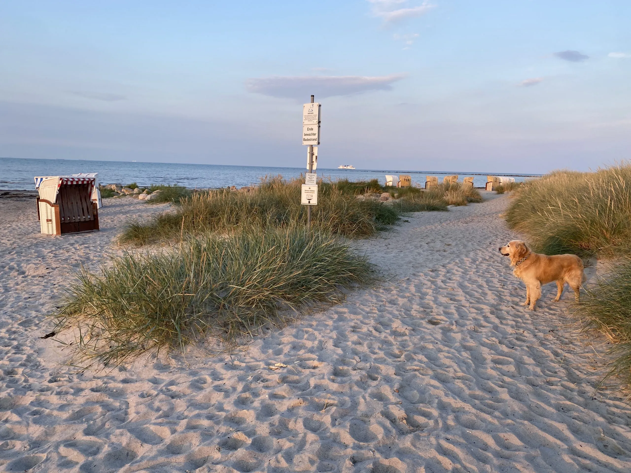 Strand & Hunde willkommen